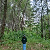 suara asli - Nanik ghomes