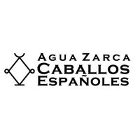 sonido original - Agua Zarca, Caballos Españoles