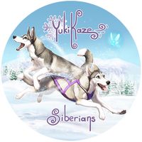 yukikazesiberians