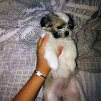 erick.hernandezyeet.com