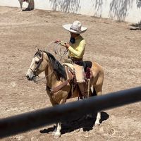 joshuachairez6