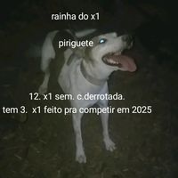 piriguete..o.terror.do