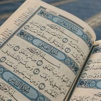 nimco_saleman
