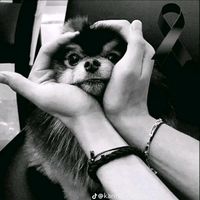taehyung_bts_armytaekook