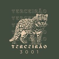 ._turma3001
