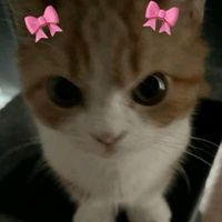 оригінальний звук