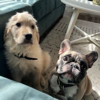 hank.and.gus