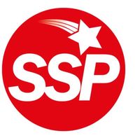 s.s.p.automotive