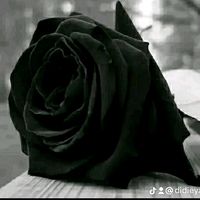 suara asli - @ Hanif septian