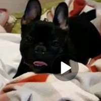 luna_diaz03