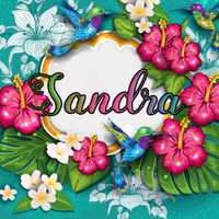 sandramaisanche1689