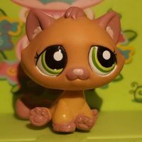 lps_bon_bon_cat