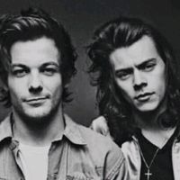 larrystylinsonforever228