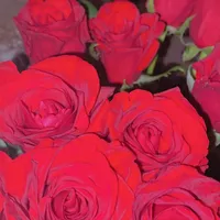 original sound - __mariagetchadienne__