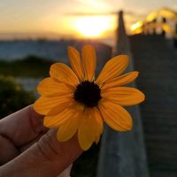 nayhrodrigues_oficial