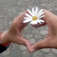 elizabethflores068