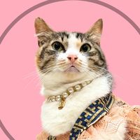 original sound - Neng 😾😾