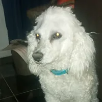 original sound - luisalejandroamayaorell0