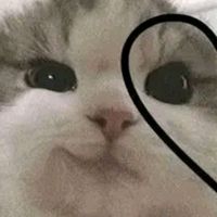 beatrizdominguez9393