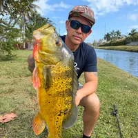 original sound - bryantheceo