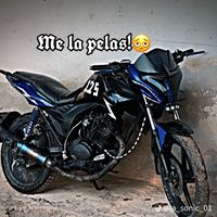 bombaxz1