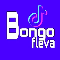 original sound - bongo.star.007