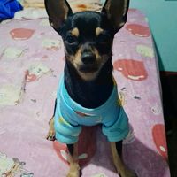 leonel5403