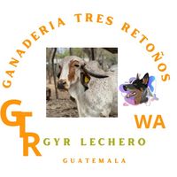 ganaderia_tres_retonos