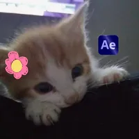 original sound - cam1svfx