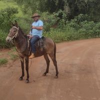 arnobre87