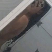 bianquinhadeles