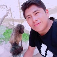 La Elegancia Inmortal l Hiru Hicho