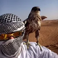 original sound - jottamazzaa