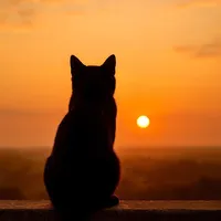 original sound - _kozak_music_2025