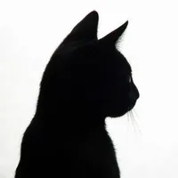 original sound - aksnchq