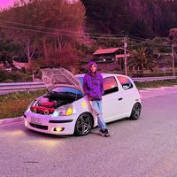 el.patho_vitz1