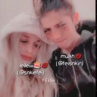 feisnkin