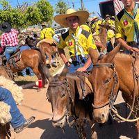 wesleigalvao3