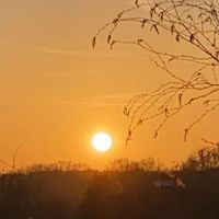 ____________no________