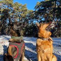 оригінальний аудіозапис – Oleksandr Mamaychuk