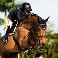 horse_edits_x0