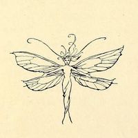 dirtfairy37