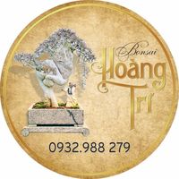 bonsaihoangtri