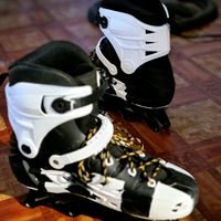sk8tingdude