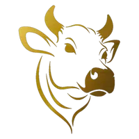 original sound - llanereando