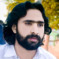 original sound - zakirzeshanofficial