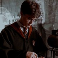 garotosdeharrypotter