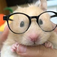 mynameiszaskie