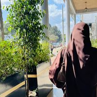 _hafsuyee_