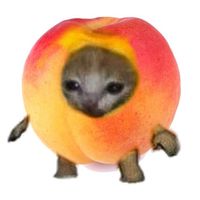 Whered all the time go